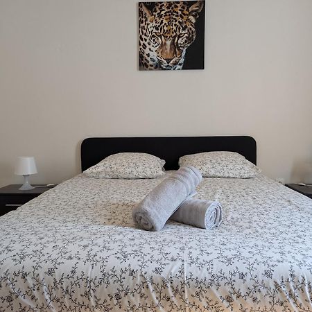 Le Mirage - Appartement 2 Chambres, Salon, Cuisine Equipee, Parking Et Wifi Gratuit Мюлуз Екстериор снимка